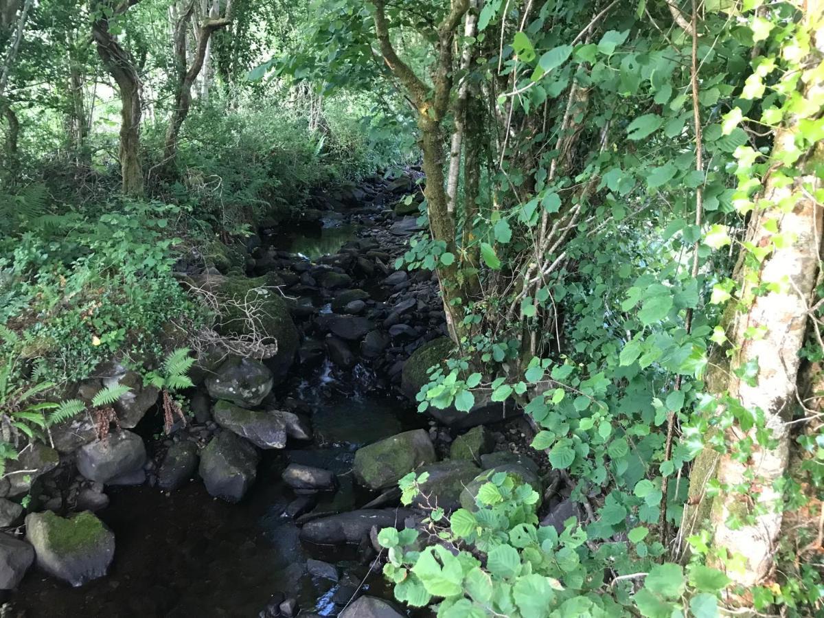 Lissyclearig Lodge Kenmare Kültér fotó