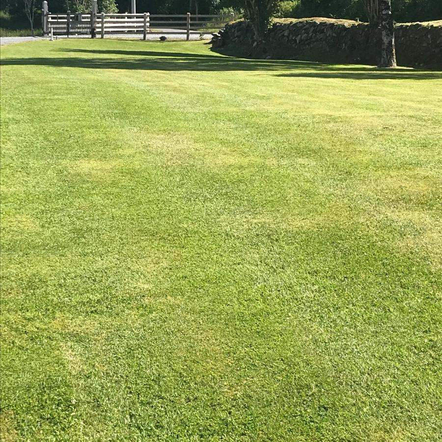 Lissyclearig Lodge Kenmare Kültér fotó