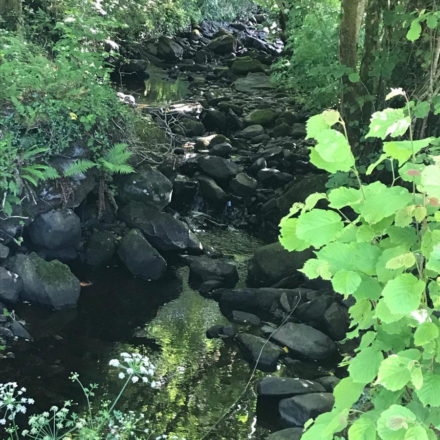 Lissyclearig Lodge Kenmare Kültér fotó
